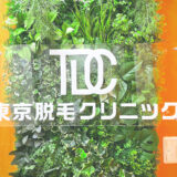 東京ディア―クリニックTDC渋谷ワキ医療脱毛体験談口コミレポ行ってみた